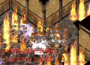 如何快速提升新服角色战力与装备获取? 如何快速提升新服角色战力与装备获取?