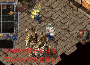如何快速提升在ok传奇私服中的角色等级? 如何快速提升在ok传奇私服中的角色等级?