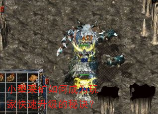 小型采矿如何成为玩家快速升级的秘诀? 小型采矿如何成为玩家快速升级的秘诀?