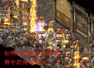 如何快速提升海浪传奇中的角色等级? 如何快速提升海浪传奇中的角色等级?