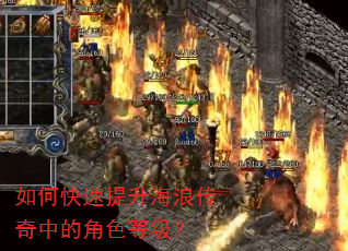 如何快速提升海浪传奇中的角色等级? 如何快速提升海浪传奇中的角色等级?