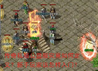 ����˽�������������ζ��壿������Ҹ��������ţ�