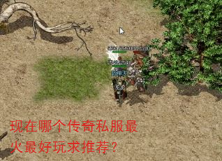 现在哪个传奇私服最火最好玩求推荐? 现在哪个传奇私服最火最好玩求推荐?
