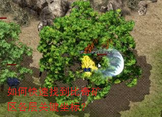 如何快速找到比奇矿区各层关键坐标? 如何快速找到比奇矿区各层关键坐标?