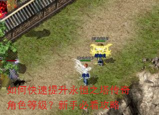 如何快速提升永恒之塔传奇角色等级?新手必看攻略 如何快速提升永恒之塔传奇角色等级?新手必看攻略