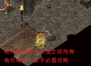 如何快速提升永恒之塔传奇角色等级?新手必看攻略 如何快速提升永恒之塔传奇角色等级?新手必看攻略