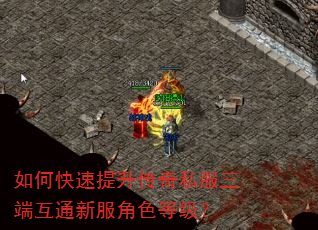 如何快速提升传奇私服三端互通新服角色等级? 如何快速提升传奇私服三端互通新服角色等级?