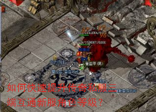 如何快速提升传奇私服三端互通新服角色等级? 如何快速提升传奇私服三端互通新服角色等级?
