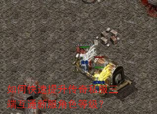 如何快速提升传奇私服三端互通新服角色等级? 如何快速提升传奇私服三端互通新服角色等级?