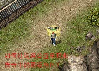 如何打造纯公益单职业传奇中的顶级角色? 如何打造纯公益单职业传奇中的顶级角色?