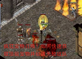 疯狂宠物召唤?如何快速获取顶级宠物并组建无敌战队 疯狂宠物召唤?如何快速获取顶级宠物并组建无敌战队