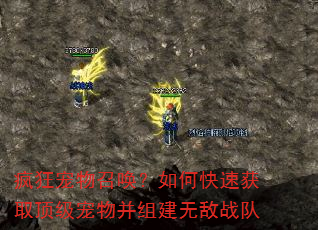 疯狂宠物召唤?如何快速获取顶级宠物并组建无敌战队 疯狂宠物召唤?如何快速获取顶级宠物并组建无敌战队