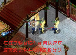 疯狂宠物召唤?如何快速获取顶级宠物并组建无敌战队 疯狂宠物召唤?如何快速获取顶级宠物并组建无敌战队