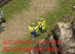 疯狂宠物召唤?如何快速获取顶级宠物并组建无敌战队 疯狂宠物召唤?如何快速获取顶级宠物并组建无敌战队