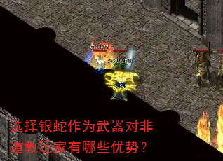 选择银蛇作为武器对非道教玩家有哪些优势? 选择银蛇作为武器对非道教玩家有哪些优势?
