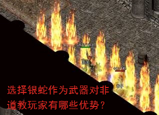 选择银蛇作为武器对非道教玩家有哪些优势? 选择银蛇作为武器对非道教玩家有哪些优势?