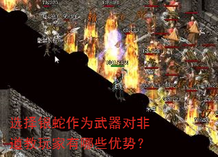 选择银蛇作为武器对非道教玩家有哪些优势? 选择银蛇作为武器对非道教玩家有哪些优势?