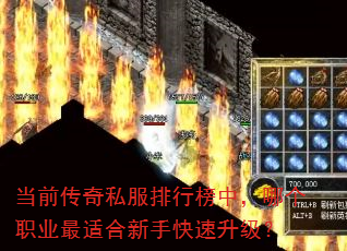 当前传奇私服排行榜中,哪个职业最适合新手快速升级? 当前传奇私服排行榜中,哪个职业最适合新手快速升级?