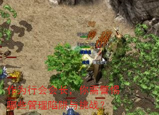 作为行会会长,你需警惕哪些管理陷阱与挑战? 作为行会会长,你需警惕哪些管理陷阱与挑战?