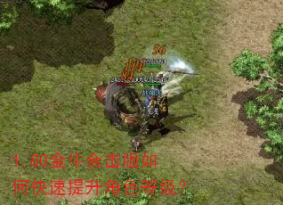 1.80金牛合击版如何快速提升角色等级? 1.80金牛合击版如何快速提升角色等级?
