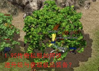 1.95传奇私服如何快速升级与获取极品装备? 1.95传奇私服如何快速升级与获取极品装备?