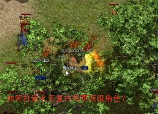 如何打造七无复古传奇顶级角色? 如何打造七无复古传奇顶级角色?