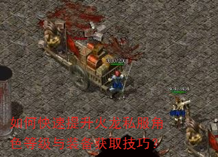 如何快速提升火龙私服角色等级与装备获取技巧? 如何快速提升火龙私服角色等级与装备获取技巧?