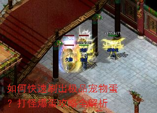 如何快速刷出极品宠物蛋?打怪爆蛋攻略全解析 如何快速刷出极品宠物蛋?打怪爆蛋攻略全解析