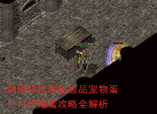 如何快速刷出极品宠物蛋?打怪爆蛋攻略全解析 如何快速刷出极品宠物蛋?打怪爆蛋攻略全解析