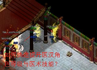 如何快速提升医汉角色等级与医术技能? 如何快速提升医汉角色等级与医术技能?