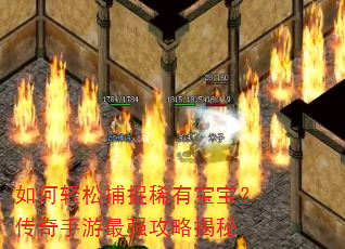 如何轻松捕捉稀有宝宝?传奇手游最强攻略揭秘 如何轻松捕捉稀有宝宝?传奇手游最强攻略揭秘