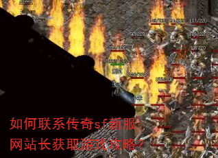 如何联系传奇sf新服网站长获取游戏攻略? 如何联系传奇sf新服网站长获取游戏攻略?