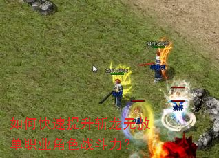 如何快速提升斩龙无赦单职业角色战斗力? 如何快速提升斩龙无赦单职业角色战斗力?
