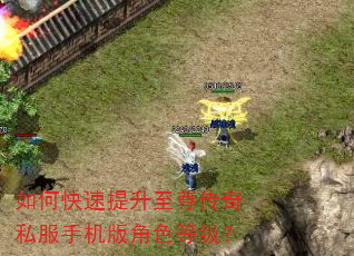 如何快速提升至尊传奇私服手机版角色等级? 如何快速提升至尊传奇私服手机版角色等级?