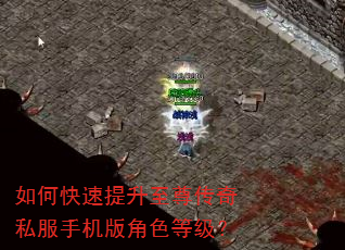 如何快速提升至尊传奇私服手机版角色等级? 如何快速提升至尊传奇私服手机版角色等级?