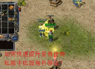 如何快速提升至尊传奇私服手机版角色等级? 如何快速提升至尊传奇私服手机版角色等级?