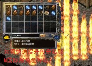 如何快速提升传奇私服M国际服角色等级? 如何快速提升传奇私服M国际服角色等级?