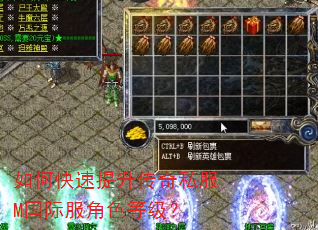 如何快速提升传奇私服M国际服角色等级? 如何快速提升传奇私服M国际服角色等级?