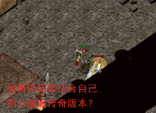 如何选择最适合自己的公益服传奇版本? 如何选择最适合自己的公益服传奇版本?