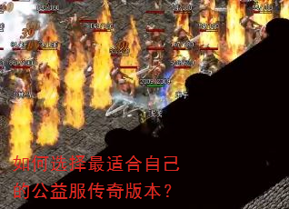 如何选择最适合自己的公益服传奇版本? 如何选择最适合自己的公益服传奇版本?