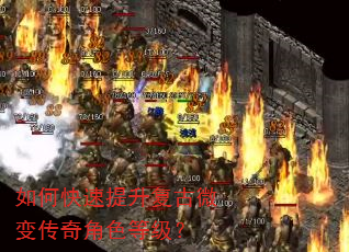 如何快速提升复古微变传奇角色等级? 如何快速提升复古微变传奇角色等级?