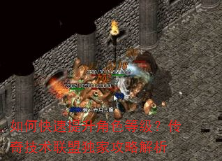 如何快速提升角色等级?传奇技术联盟独家攻略解析 如何快速提升角色等级?传奇技术联盟独家攻略解析