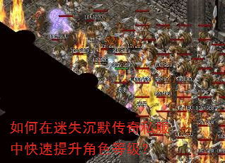 如何在迷失沉默传奇私服中快速提升角色等级? 如何在迷失沉默传奇私服中快速提升角色等级?