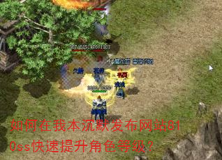如何在我本沉默发布网站810ss快速提升角色等级? 如何在我本沉默发布网站810ss快速提升角色等级?