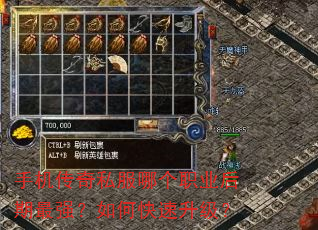 手机传奇私服哪个职业后期最强?如何快速升级? 手机传奇私服哪个职业后期最强?如何快速升级?