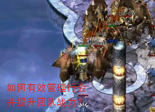 如何有效管理行会并提升团队战力? 如何有效管理行会并提升团队战力?