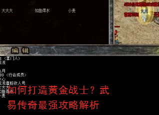 如何打造黄金战士?武易传奇最强攻略解析 如何打造黄金战士?武易传奇最强攻略解析