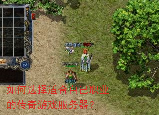 如何选择适合自己职业的传奇游戏服务器? 如何选择适合自己职业的传奇游戏服务器?