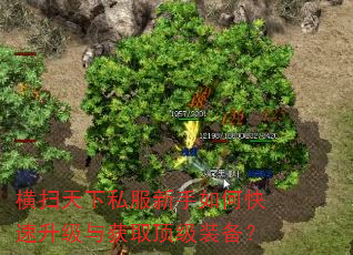 横扫天下私服新手如何快速升级与获取顶级装备? 横扫天下私服新手如何快速升级与获取顶级装备?