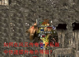 如何在风云传奇世界私服中快速提升角色等级? 如何在风云传奇世界私服中快速提升角色等级?